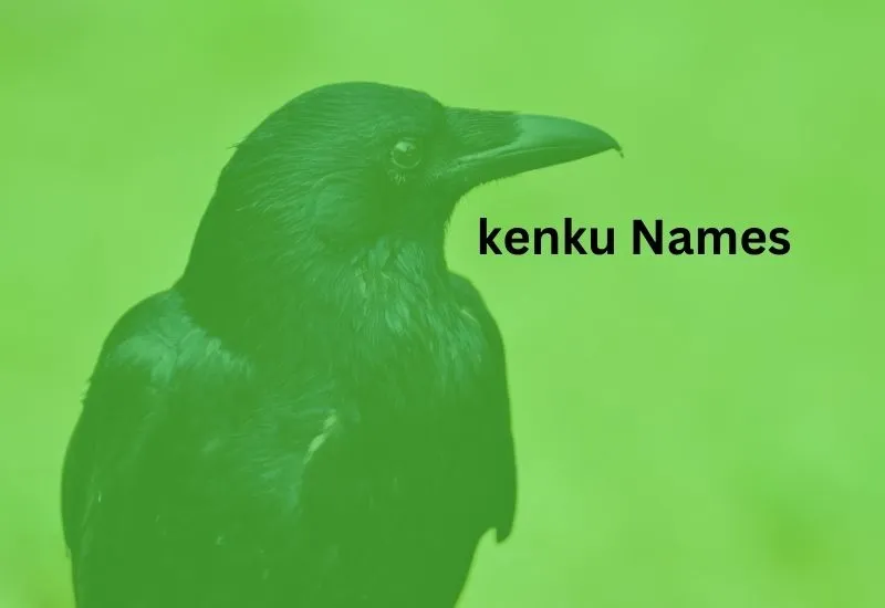 kenku names